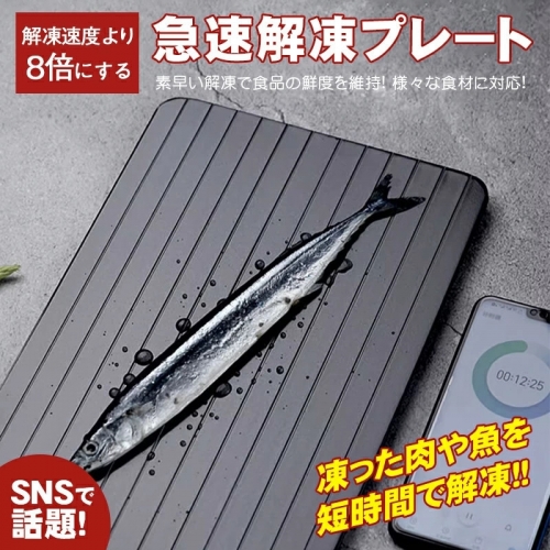 解凍プレート 急速解凍 まな板 解凍板 アルミ製 肉 刺身 ステーキ 自然解凍 食品解凍 肉解凍 解凍皿 電気不要 省エネ 国内食品安全証明取得 コーナーガード付き
