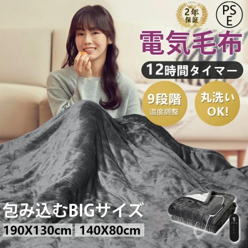 電気毛布 敷き毛布 掛け敷き兼用 190*130CM 速暖 定時 洗える 9段階温度調整 タイマー 敷きフランネル 省エネ ダニ退治 ふわふわ 過熱保護 冷え対策 PSE認証済み