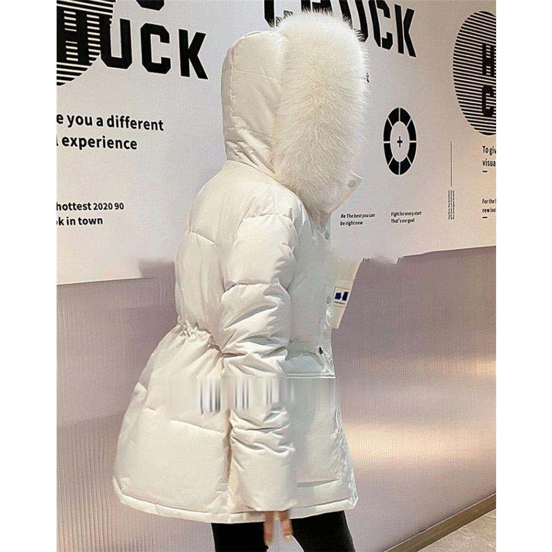 ダウンジャケット レディース ダウンコート ジャケット 秋 冬 ダウン アウター ショート丈 防寒コート 中綿コート 暖かい 防風防寒 通勤 40代 50代ファッション