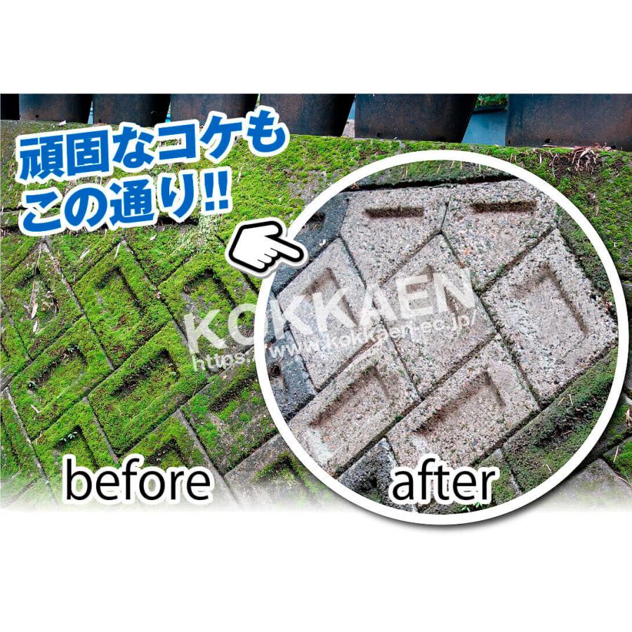 高圧洗浄機 充電式 6in1 21V バッテリー?充電器付 マキタバッテリ互換 専用ケース付 家庭用 洗車 掃除 ベランダ バケツ給水 パワフルハンディ高圧洗浄機 国華園